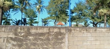 Dpt Martinique (972), à vendre  maison 4 p, 62,4 m² - Terrain de 347,00 m² - Plain pied