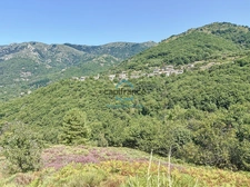 Maisons à vendre 12 pièces LABOULE (07) - Terrain 3 ha 25 a 