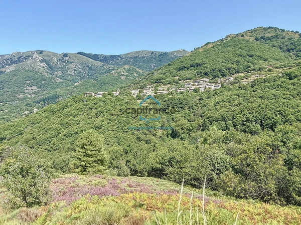 Maisons à vendre 12 pièces LABOULE (07) - Terrain 3 ha 25 a 