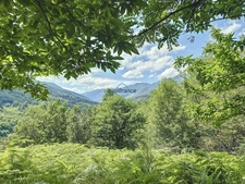 Propriété agricole avec 4 granges - 16 ha de terrains - LABOULE (07)