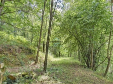 Propriété agricole avec 4 granges - 16 ha de terrains - LABOULE (07)