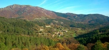 Terrain à vendre  ROCHER (07) Superficie de 1032 m2