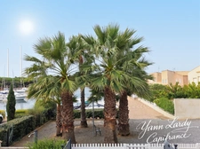⚓ RARE & PRIVILÉGIÉ : VÉRITABLE MARINA AVEC ANNEAU D’AMARRAGE PRIVATIF AU PIED DU BIEN – PROCHE CENTRE-PORT ⚓