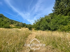 Maison d'environ 120 m2 avec plus de 2,2 hectares de terrain et un potentiel d'agrandissement exceptionnel – Saint-Jean-de-Muzols