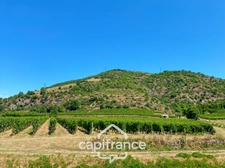Maison d'environ 81 m² avec sous-sol aménageable de 40 m2 et son jardin de 418 m² – Crozes-Hermitage (26)