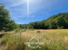 Maison d'environ 120 m2 avec plus de 2,2 hectares de terrain et un potentiel d'agrandissement exceptionnel – Saint-Jean-de-Muzols