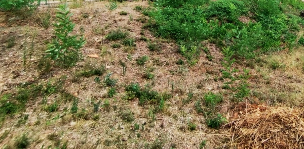 Terrain à vendre  MONTPELLIER (34)