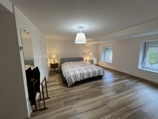 Dpt Bas-Rhin (67), à louer SARRE UNION maison P7 de 200,08 m² - Terrain de 176,00 m² 