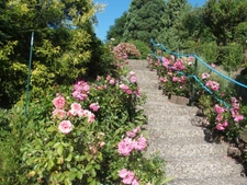 House for sale 32 rooms SARRALBE (57)