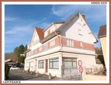 House for sale 32 rooms SARRALBE (57)