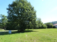 Terrain à vendre de 2 497,00 m² SCHORBACH (57)