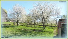 Maison à vendre 6 pièces SCHMITTVILLER (57)