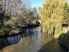 Dpt Bas-Rhin (67), à louer SARRE UNION maison P7 de 200,08 m² - Terrain de 176,00 m² 