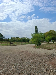 Maison Villa  Plain pied NEuve 2022 Basse Conso 164 m2 + Dépendance neuve 117m2 , Parc Clos 5800m2