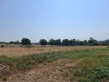 Longère au milieu de champs, Proche Saint Léonard des Bois, 1500 à 7000 m2 terrain sans supp prix, combles aménageables.