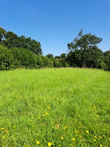 Terrain à vendre  proche de VILLAINES LA JUHEL (53)