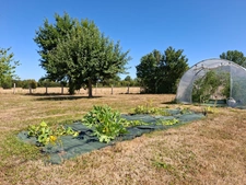 Jolie longère authentique + 170 m2 , sans aucun vis à vis au bord du Perche, entre campagne et forets,  avec dépendance, buchet et cellier, jardin arboré.
