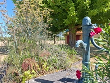 Jolie longère authentique + 170 m2 , sans aucun vis à vis au bord du Perche, entre campagne et forets,  avec dépendance, buchet et cellier, jardin arboré.