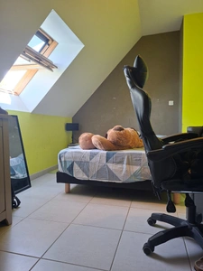 Maison individuelle sous sol 2007, secteur Le Mele Sur Sarthe 61, 4 chambres, 2sdb, 2wc, jardin arboré sans vis à vis, jaccuzzi, entre ALENCON et Mortagne au Perche