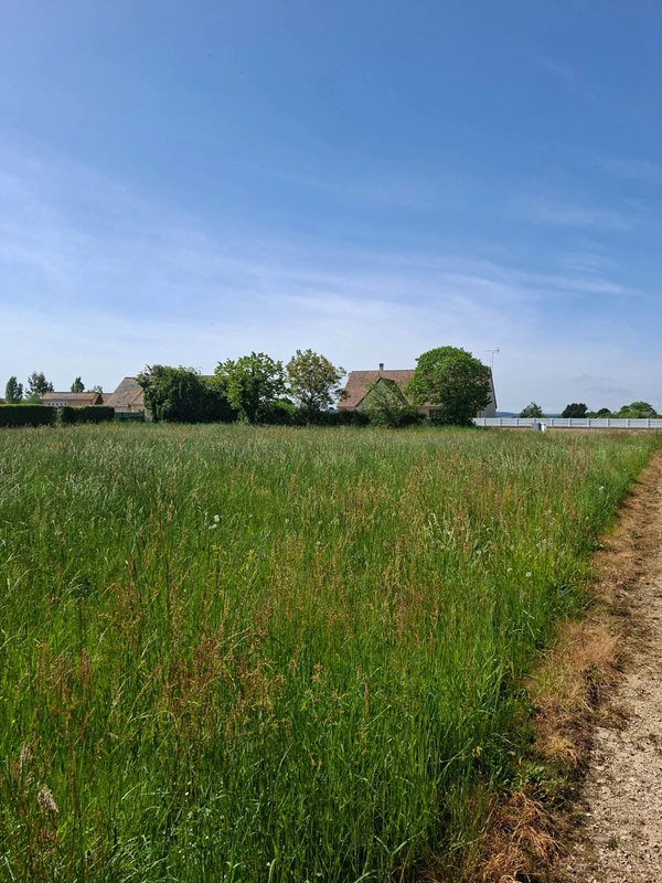Terrain à vendre au cœur de FRESNAY SUR SARTHE (72130), Les Alpes Mancelles, au calme, dans impasse. Opportunité à saisir !