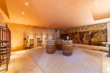 Exclusively in Saint Jean de Cornies