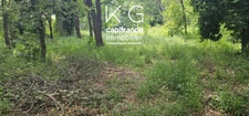 Haute-Corse (20), SANTA LUCI DI MORIANI terrain constructible de 4 200 m² : emplacement rare entre mer et montagne