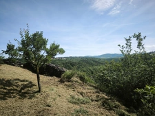 Terrain avec vue – 1 431 m² – Tartaras