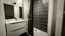 Appartement Vienne 63,74m² en duplex traversant et lumineux