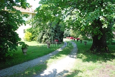 Mansion-8 rooms-outbuildings-1.2 ha park-Hypercentre of SALLES (33)