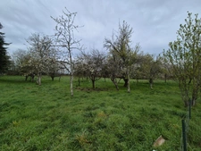 House for sale, farm, 4 rooms, AIGURANDE (36) ground 1,5 hectare
