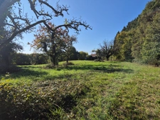 Maison à rénover 180 m² 14 pièces ORSENNES (36) terrain 2 Hectares dépendances puits proche Aigurande Éguzon