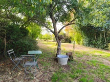 Maison de campagne 3 pièces 2 chambres séjour cuisine salle de bains jardin dépendance cave NOUZERINES (23) 109 900€