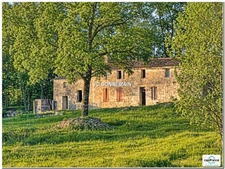 A vendre sur 1,14 Ha - Maison 1 à Réhabiliter 200 m² / Maison 2 Habitable Immédiat CHERMIGNAC (17)