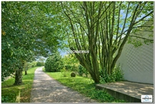 Maison plain-pied à vendre  proche Plages - LE CHATEAU D'OLERON (17) - 135 m² habitables - Terrain 1400 m² - 4 pièces
