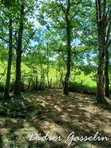Terrain à vendre  GREEZ SUR ROC (72)