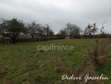 Terrain à vendre  SAINT HILAIRE SUR ERRE (61)