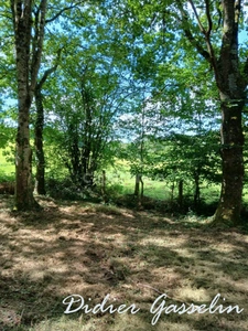 Terrain à vendre  GREEZ SUR ROC (72)