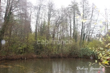Terrain à vendre  GREEZ SUR ROC (72)