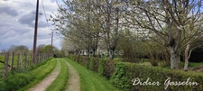 Dpt Orne (61), à vendre FERME BIOLOGIQUE
