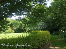 2 Houses for sale 10 rooms (72)