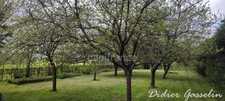 Dpt Orne (61), à vendre FERME BIOLOGIQUE