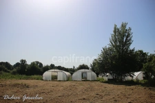 Dpt Orne (61), à vendre FERME BIOLOGIQUE