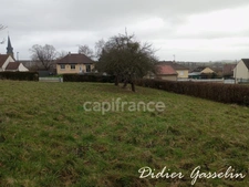 Terrain à vendre  SAINT HILAIRE SUR ERRE (61)