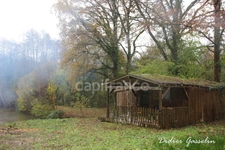 Terrain à vendre  GREEZ SUR ROC (72)