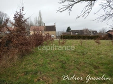 Terrain à vendre  SAINT HILAIRE SUR ERRE (61)