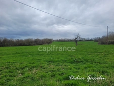 Dpt Orne (61), à vendre FERME BIOLOGIQUE