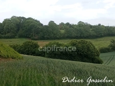 Terrain à vendre  BRUNELLES (28)