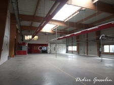 Local Industriel / Bureau à vendre BERD HUIS (61)