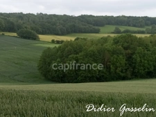 Terrain à vendre  BRUNELLES (28)
