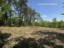Terrain à bâtir 2400m² -  BASSILLAC ET AUBEROCHE (24)